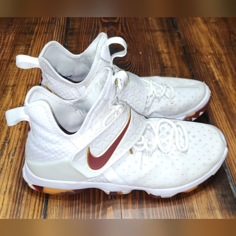 Nike Lebron James 14